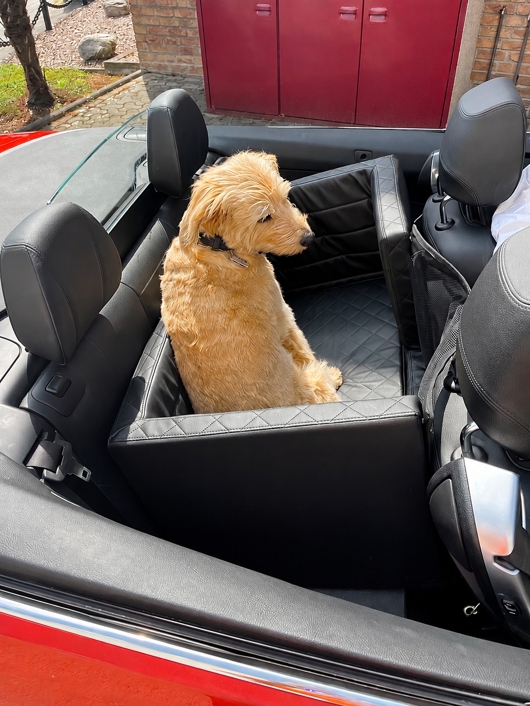 Travellino Rücksitzbett Cabrio/Coupé – Bild 4
